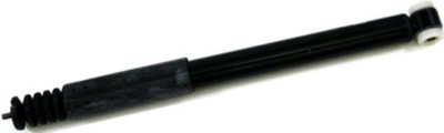 Gabriel Shock Absorber and Strut Assembly