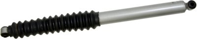 Gabriel Shock Absorber and Strut Assembly