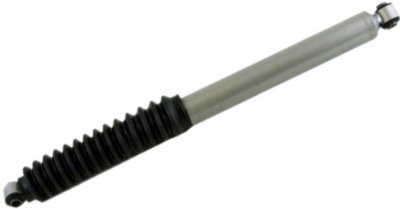 Gabriel Shock Absorber and Strut Assembly