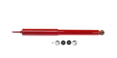 Gabriel Shock Absorber and Strut Assembly