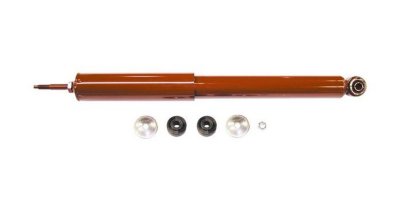 Gabriel Shock Absorber and Strut Assembly