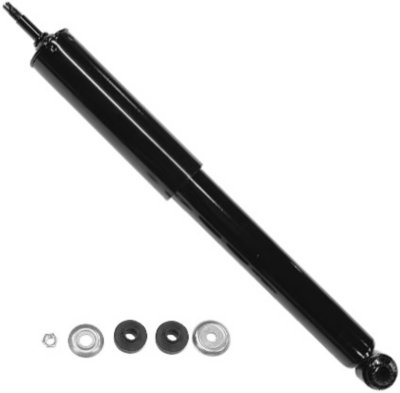 Gabriel Shock Absorber and Strut Assembly