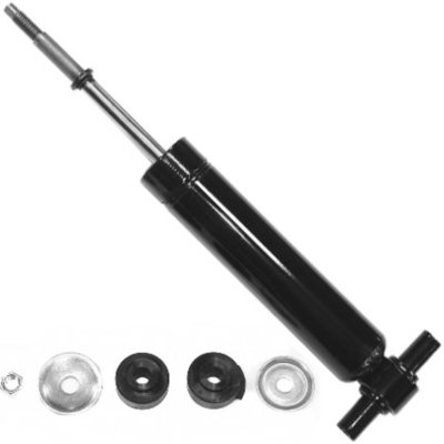 Gabriel Shock Absorber and Strut Assembly