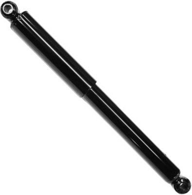 Gabriel Shock Absorber and Strut Assembly