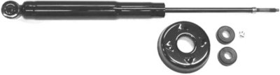 Gabriel Shock Absorber and Strut Assembly