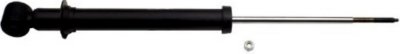 Gabriel Shock Absorber and Strut Assembly