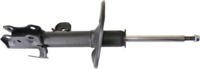 Gabriel Shock Absorber and Strut Assembly