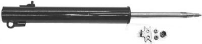 Gabriel Shock Absorber and Strut Assembly