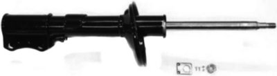 Gabriel Shock Absorber and Strut Assembly