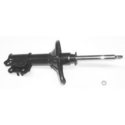 Gabriel Shock Absorber and Strut Assembly