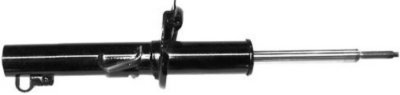 Gabriel Shock Absorber and Strut Assembly
