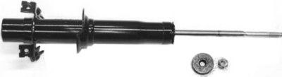 Gabriel Shock Absorber and Strut Assembly