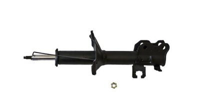 Gabriel Shock Absorber and Strut Assembly