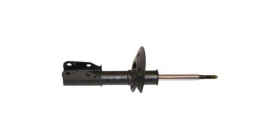 Gabriel Shock Absorber and Strut Assembly