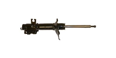 Gabriel Shock Absorber and Strut Assembly