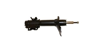 Gabriel Shock Absorber and Strut Assembly