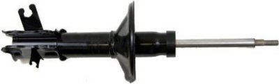 Gabriel Shock Absorber and Strut Assembly