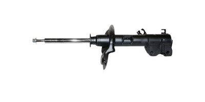 Gabriel Shock Absorber and Strut Assembly