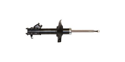 Gabriel Shock Absorber and Strut Assembly