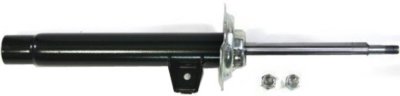 Gabriel Shock Absorber and Strut Assembly