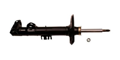 Gabriel Shock Absorber and Strut Assembly