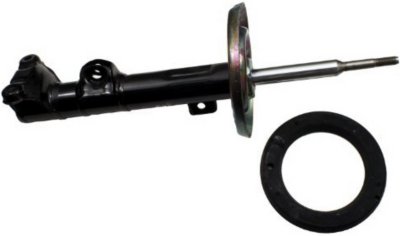 Gabriel Shock Absorber and Strut Assembly