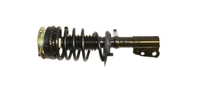 Gabriel Shock Absorber and Strut Assembly