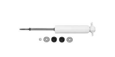 Gabriel Shock Absorber and Strut Assembly