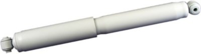 Gabriel Shock Absorber and Strut Assembly