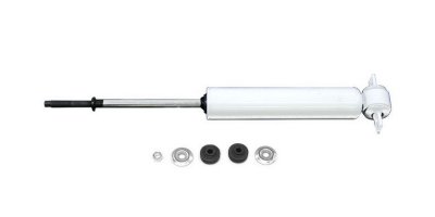 Gabriel Shock Absorber and Strut Assembly