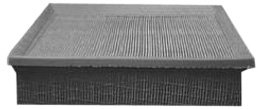 Hastings Air Filter