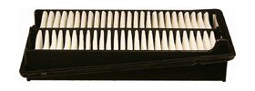 Hastings Air Filter