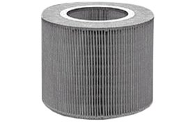 Hastings Air Filter