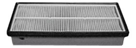 Hastings Air Filter