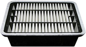 Hastings Air Filter