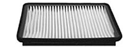 Hastings Air Filter