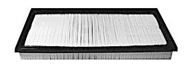 Hastings Air Filter