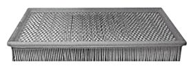 Hastings Air Filter