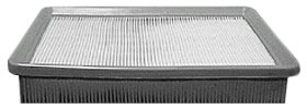 Hastings Air Filter