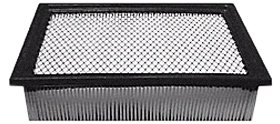 Hastings Air Filter