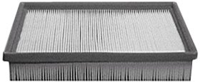 Hastings Air Filter