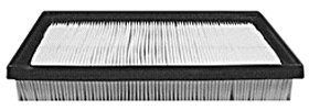 Hastings Air Filter