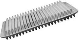 Hastings Air Filter