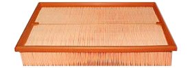 Hastings Air Filter