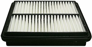 Hastings Air Filter