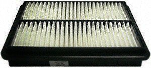 Hastings Air Filter
