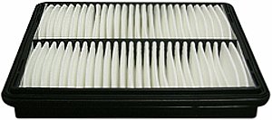Hastings Air Filter