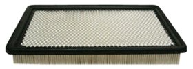 Hastings Air Filter