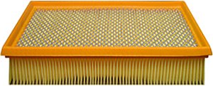 Hastings Air Filter