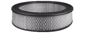 Hastings Air Filter